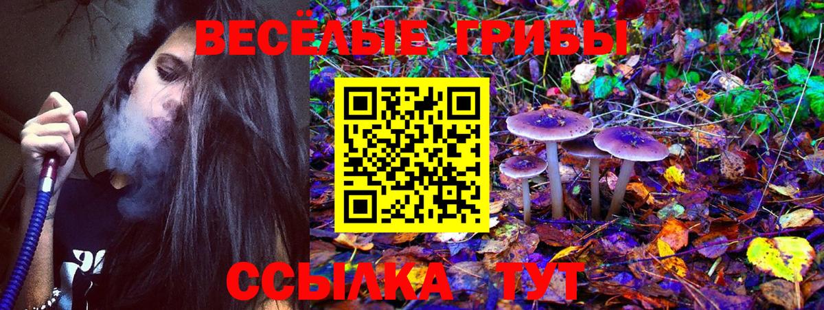 Галлюциногенные грибы ЛСД  Вход с VPN  Гагарин 